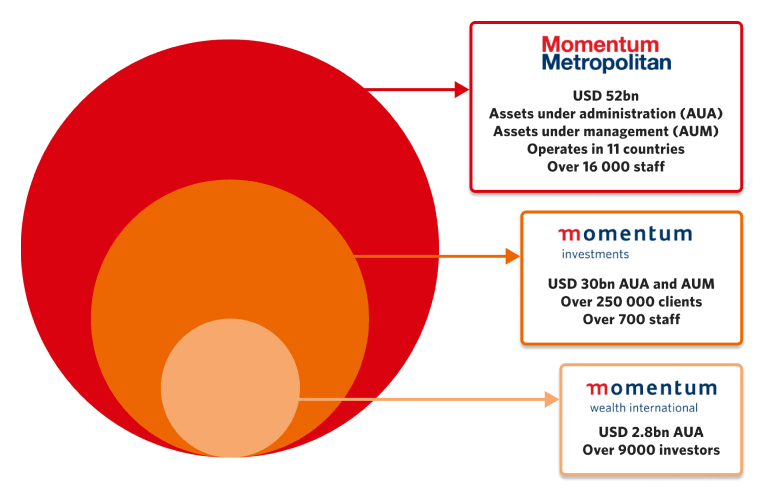 An infographic explaining how Momentum Wealth International relates to Momentum Investments, part of Momentum Metropolitan Holdings Limited.