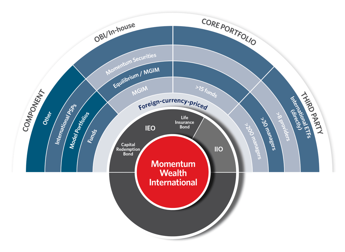 Momentum Wealth International capability wheel. 